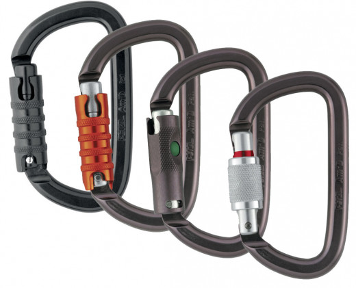 Petzl Karabiner Am D
