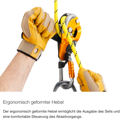 Petzl RIG Abseilgert