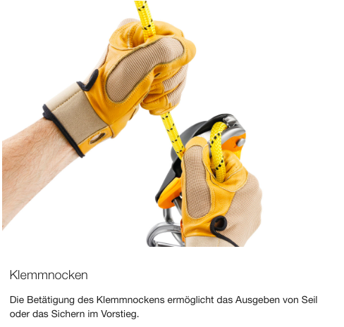 Petzl RIG Abseilgert